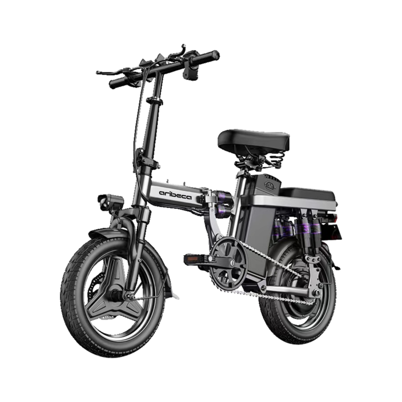 Magic Knight D9 ARIBECA Foldable E-bikes