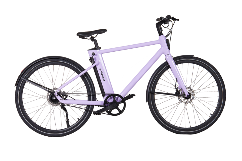 Prince B6 ARIBECA City E-bikes