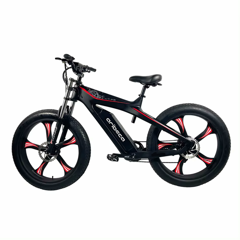 Beast NO.5 ARIBECA Cross Country Fatbike