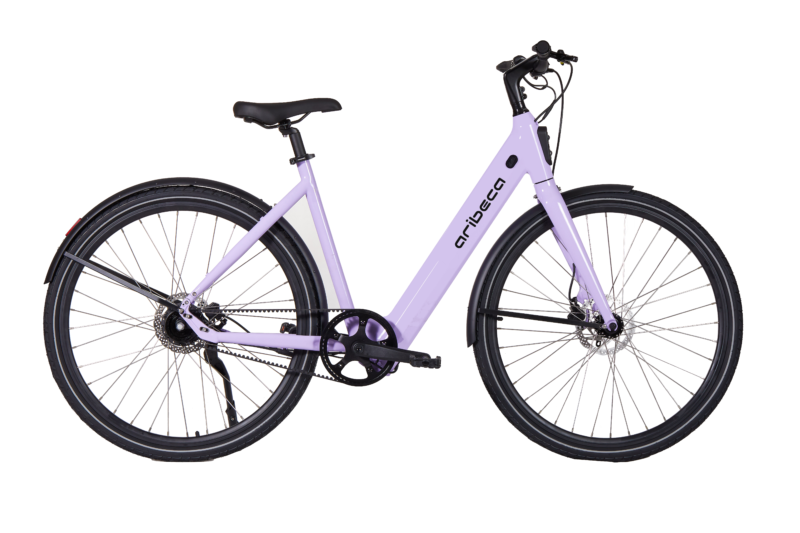 Princess A5 ARIBECA City E-bikes