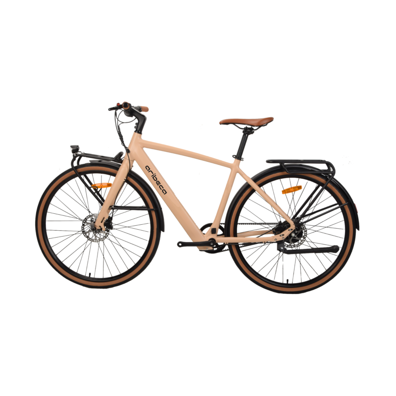 Prince p6 ARIBECA City E-bikes